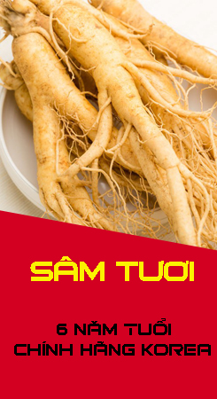 Sâm Tươi Hàn Quốc